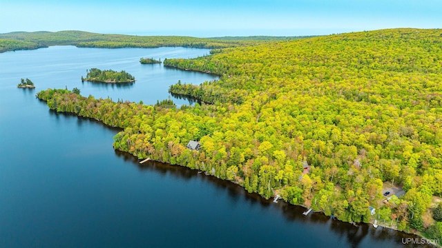 TBD4AAND4B Frimodig Rd, Eagle Harbor, MI 49950