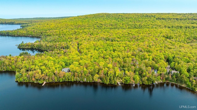 TBD4AAND4B Frimodig Rd, Eagle Harbor, MI 49950