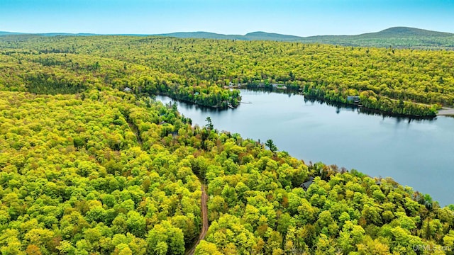 TBD4AAND4B Frimodig Rd, Eagle Harbor, MI 49950