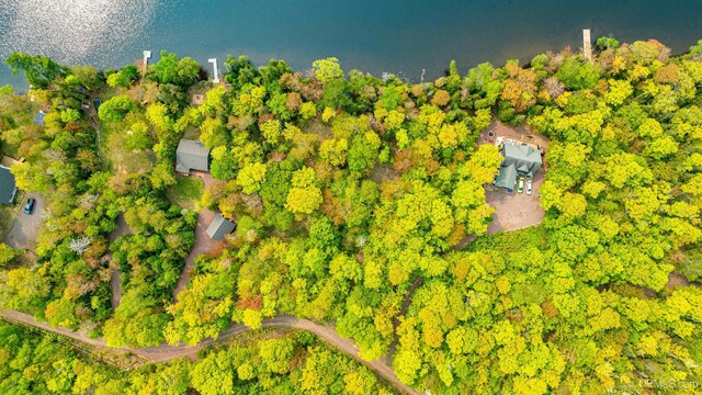 TBD4AAND4B Frimodig Rd, Eagle Harbor, MI 49950