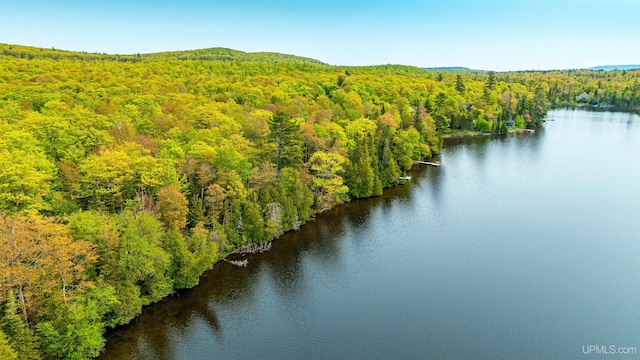 TBD4AAND4B Frimodig Rd, Eagle Harbor, MI 49950