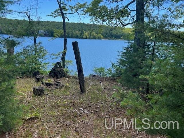 TBD4AAND4B Frimodig Rd, Eagle Harbor, MI 49950