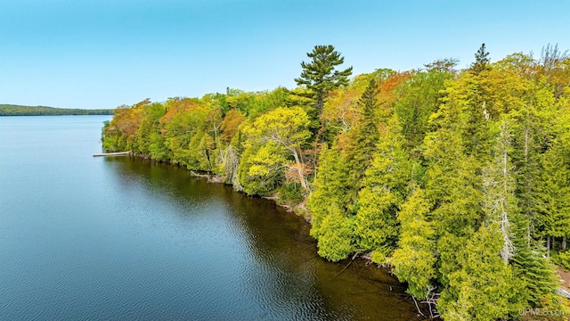 TBD4AAND4B Frimodig Rd, Eagle Harbor, MI 49950