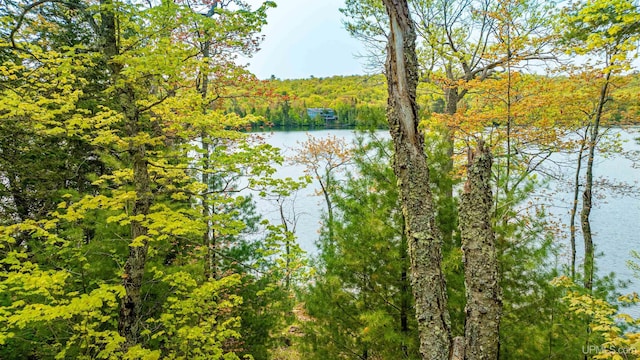 TBD4AAND4B Frimodig Rd, Eagle Harbor, MI 49950
