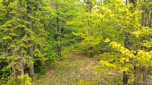 TBD4AAND4B Frimodig Rd, Eagle Harbor, MI 49950