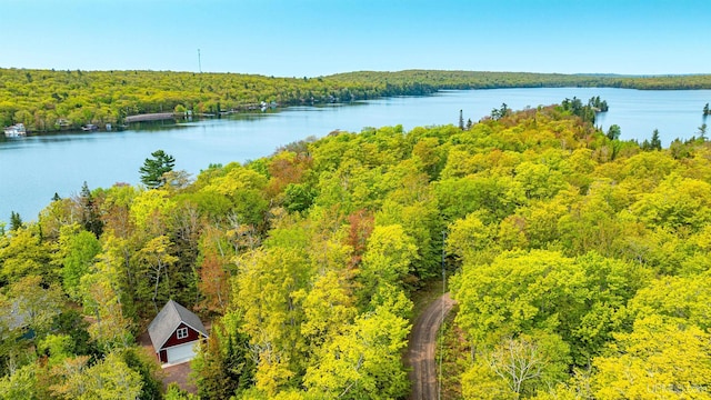 TBD4AAND4B Frimodig Rd, Eagle Harbor, MI 49950