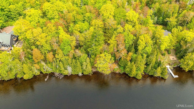 TBD4AAND4B Frimodig Rd, Eagle Harbor, MI 49950