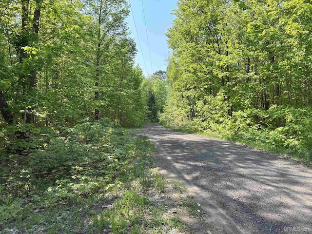 TBD4AAND4B Frimodig Rd, Eagle Harbor, MI 49950