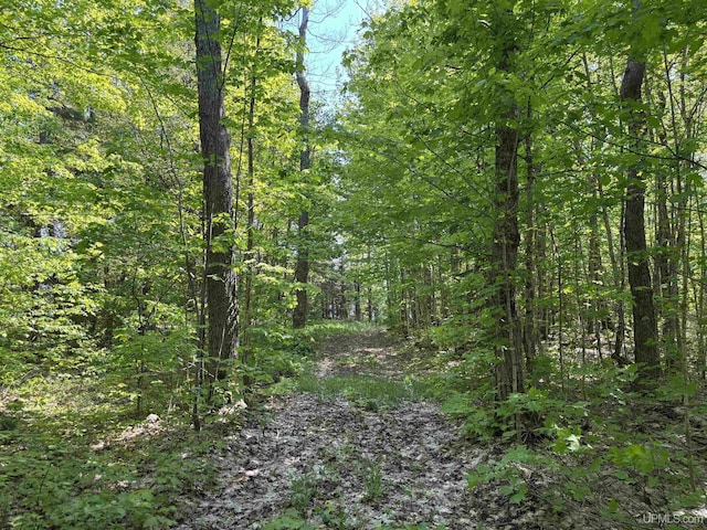 TBD4AAND4B Frimodig Rd, Eagle Harbor, MI 49950