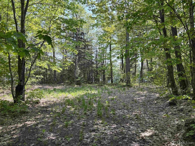 TBD4AAND4B Frimodig Rd, Eagle Harbor, MI 49950