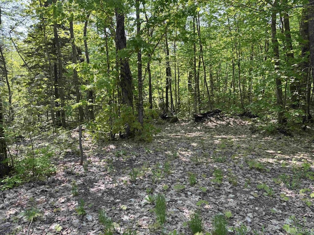 TBD4AAND4B Frimodig Rd, Eagle Harbor, MI 49950