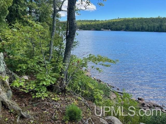 TBD4AAND4B Frimodig Rd, Eagle Harbor, MI 49950