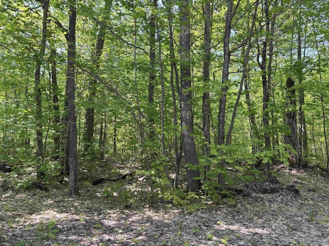 TBD4AAND4B Frimodig Rd, Eagle Harbor, MI 49950