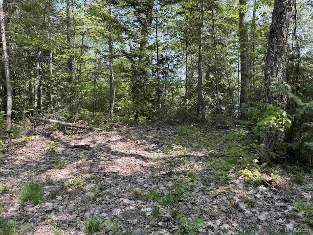 TBD4AAND4B Frimodig Rd, Eagle Harbor, MI 49950