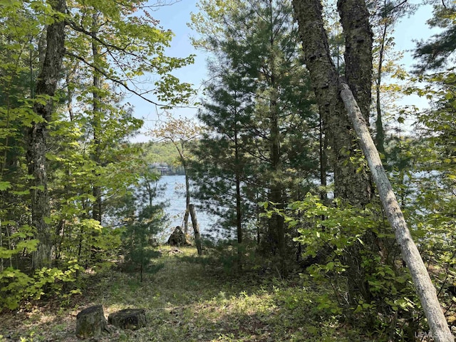 TBD4AAND4B Frimodig Rd, Eagle Harbor, MI 49950
