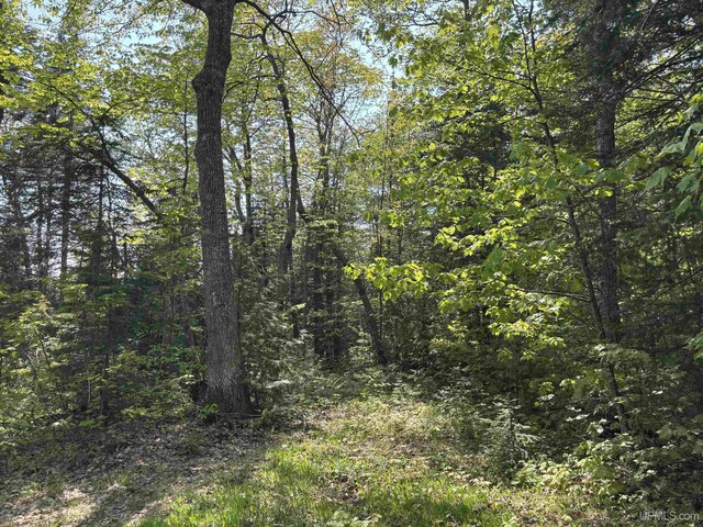 TBD4AAND4B Frimodig Rd, Eagle Harbor, MI 49950
