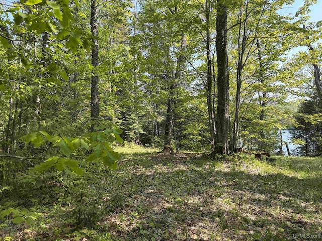 TBD4AAND4B Frimodig Rd, Eagle Harbor, MI 49950