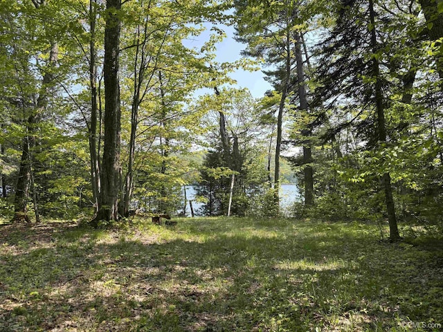 TBD4AAND4B Frimodig Rd, Eagle Harbor, MI 49950