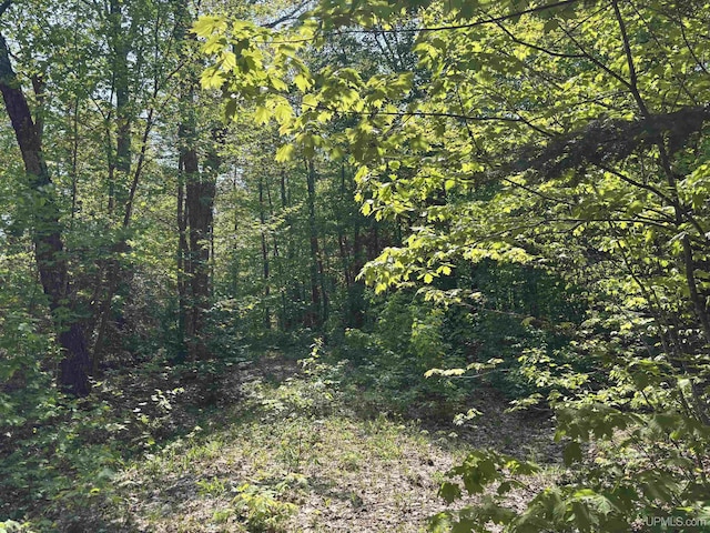 TBD4AAND4B Frimodig Rd, Eagle Harbor, MI 49950