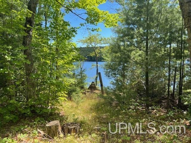 TBD4AAND4B Frimodig Rd, Eagle Harbor, MI 49950