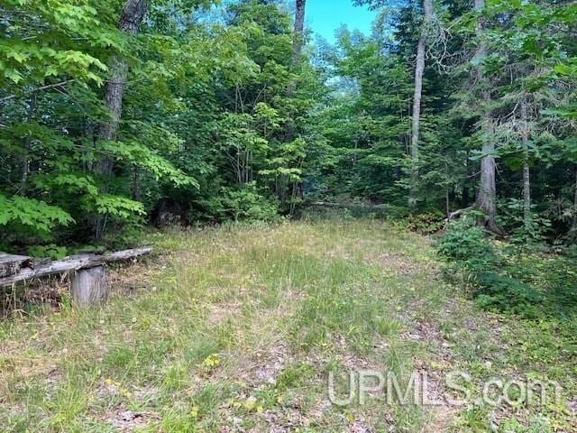 TBD4AAND4B Frimodig Rd, Eagle Harbor, MI 49950