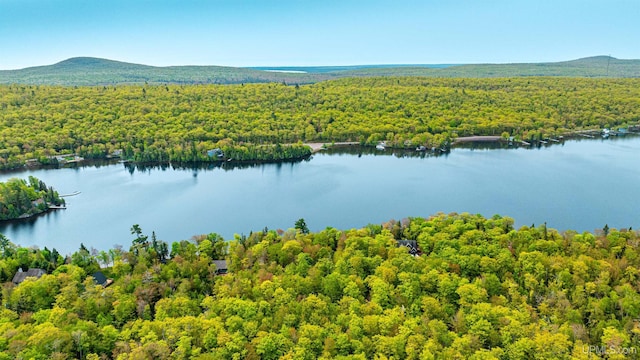 TBD4AAND4B Frimodig Rd, Eagle Harbor, MI 49950