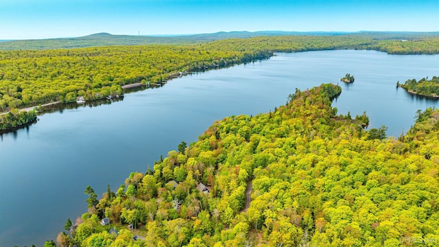 TBD4AAND4B Frimodig Rd, Eagle Harbor, MI 49950