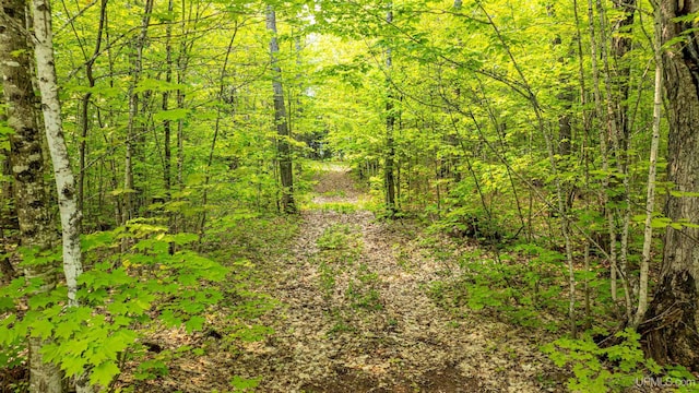 TBD4AAND4B Frimodig Rd, Eagle Harbor, MI 49950