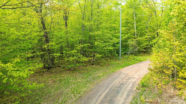 TBD4AAND4B Frimodig Rd, Eagle Harbor, MI 49950