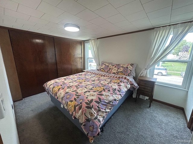 312 N Mckenzie Ave, Negaunee, MI 49866 - bedroom featuring carpet, crown molding, and baseboards