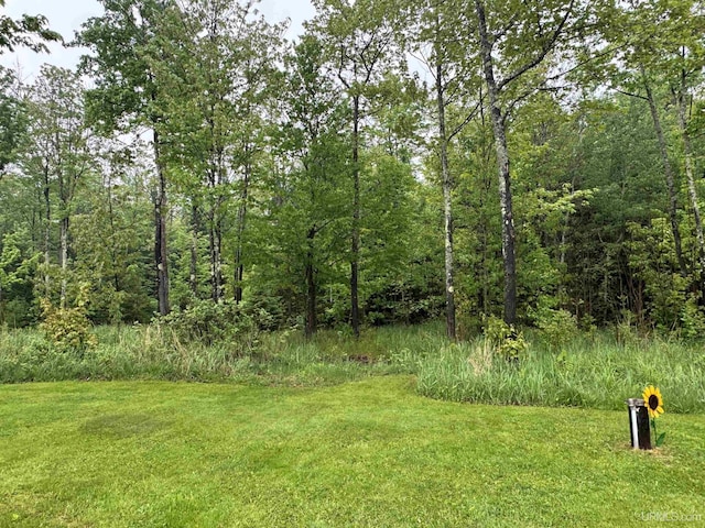 5452 W N Island Lake Rd, Hurley, WI 54534 - view of grassy yard featuring a forest view