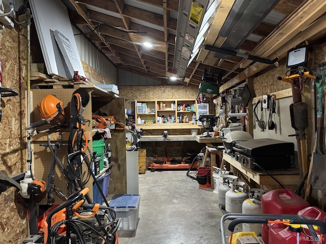 5452 W N Island Lake Rd, Hurley, WI 54534 - below grade area featuring a workshop area