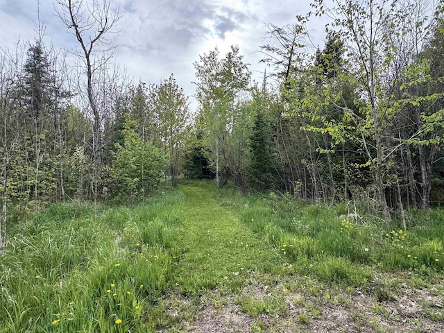 5452 W N Island Lake Rd, Hurley, WI 54534 - view of woods