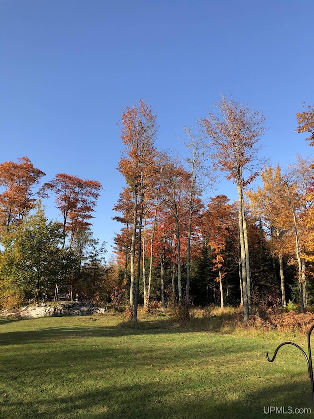 5452 W N Island Lake Rd, Hurley, WI 54534 - view of green lawn