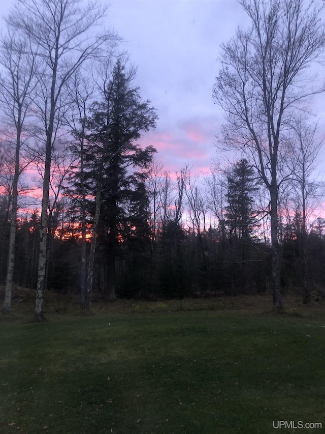 5452 W N Island Lake Rd, Hurley, WI 54534 - view of grassy yard