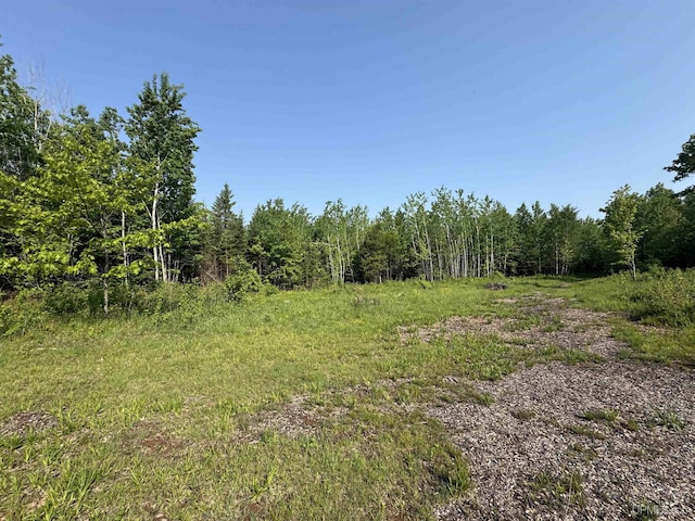 5452 W N Island Lake Rd, Hurley, WI 54534 - view of woods