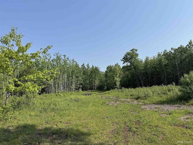 5452 W N Island Lake Rd, Hurley, WI 54534 - view of wooded area