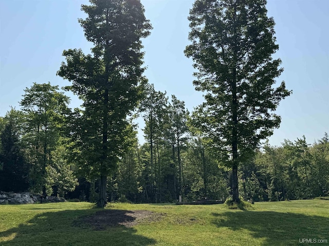 5452 W N Island Lake Rd, Hurley, WI 54534 - view of green lawn with a forest view