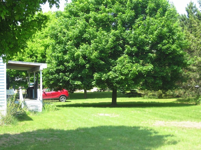 1984 E Marlette Rd, Applegate, MI 48401 - view of green lawn