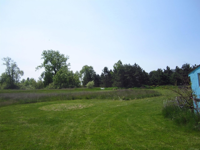 1984 E Marlette Rd, Applegate, MI 48401 - view of yard