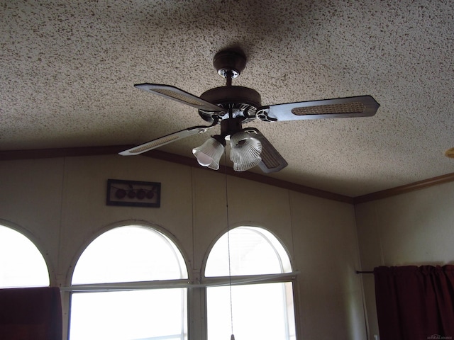 1984 E Marlette Rd, Applegate, MI 48401 - detailed view of ceiling fan and a textured ceiling