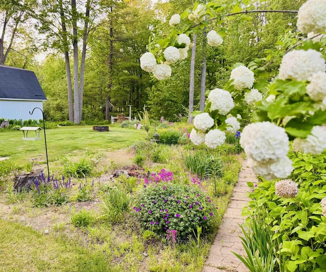 6223 E Townline Lake Rd, Harrison, MI 48625 - view of green lawn