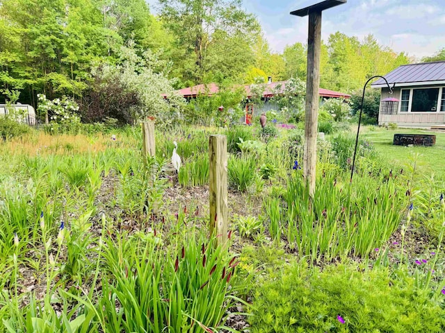 6223 E Townline Lake Rd, Harrison, MI 48625 - view of yard