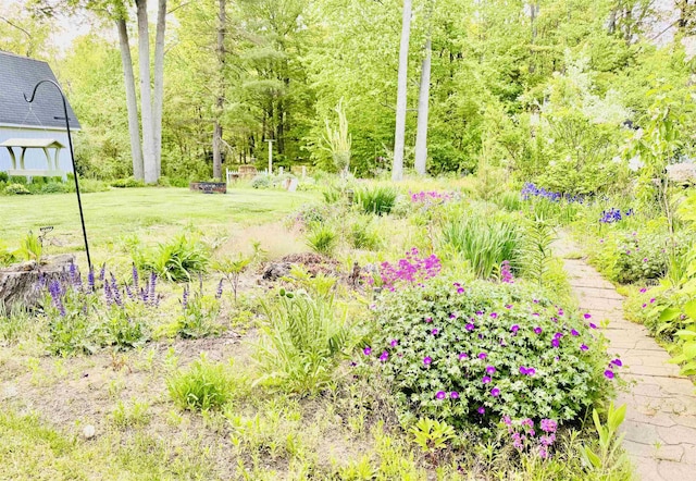 6223 E Townline Lake Rd, Harrison, MI 48625 - view of green lawn