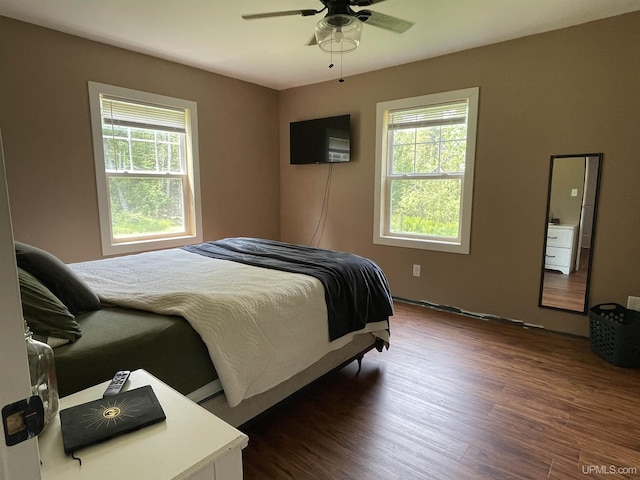 2731 W Jones Rd, Gulliver, MI 49840 - bedroom featuring multiple windows, dark wood-style floors, and a ceiling fan