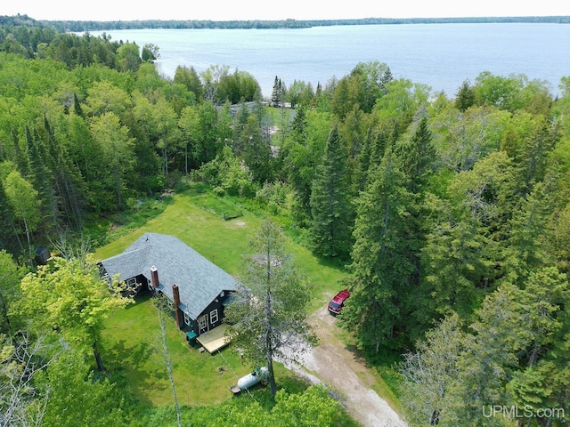 2731 W Jones Rd, Gulliver, MI 49840 - aerial view of property and surrounding area featuring a large body of water