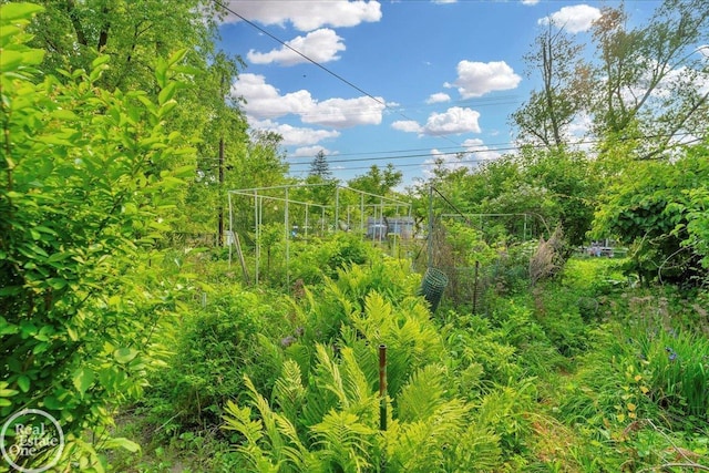 18467 Pershing St, Livonia, MI 48152 - view of undeveloped land
