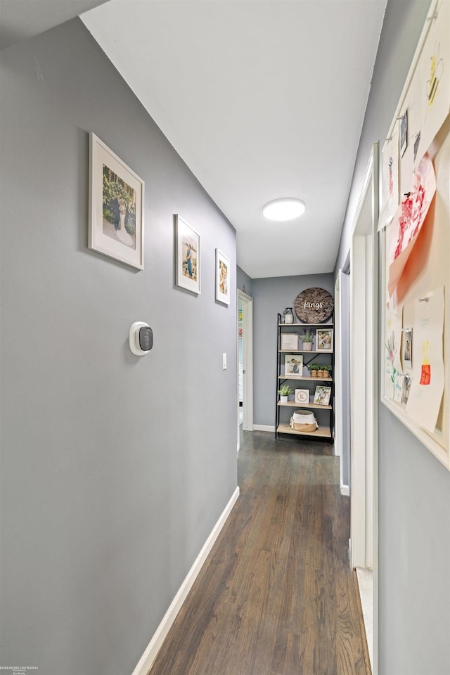 13040 Common Rd, Warren, MI 48088 - hall featuring dark wood-style floors and baseboards
