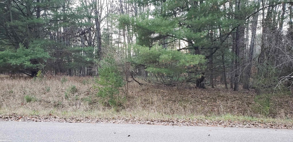 Robindale Way, Gladwin, MI 48624