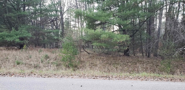 Robindale Way, Gladwin, MI 48624